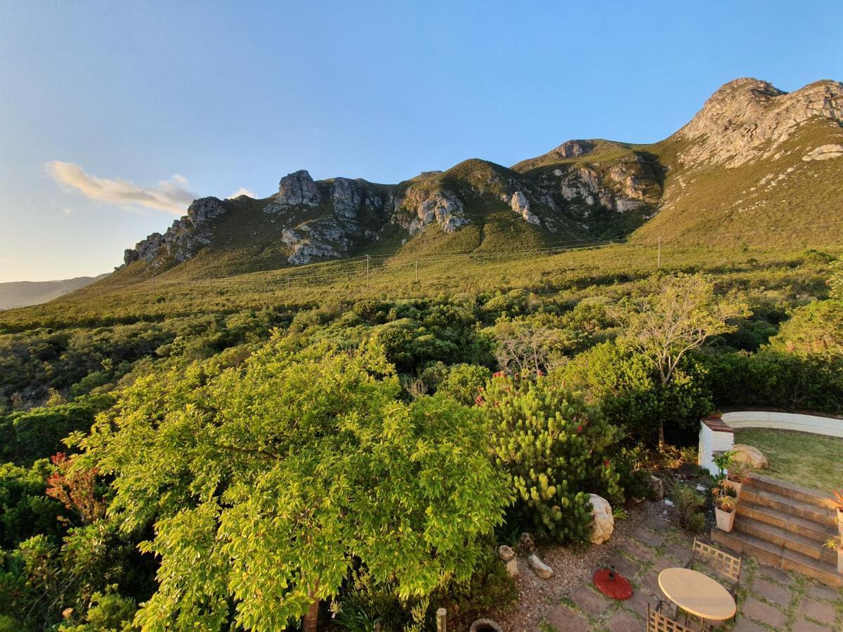 Francolinhof Guest House Hermanus Eksteriør bilde